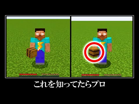 絶対におかしい。マイクラ統合版とJAVA版の違い15選｜誰も見たことのない衝撃的な小ネタ Minecraft 15 Ridiculously Differences JAVA & Bedrock