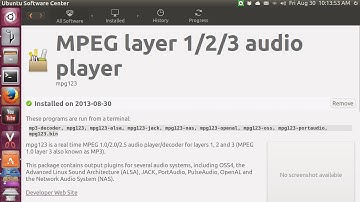 Ubuntu 13.04 mpg123