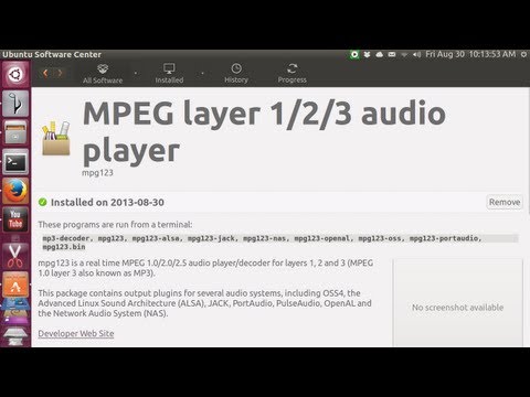 Ubuntu 13.04 mpg123