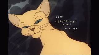 rhinestone eyes  felidae