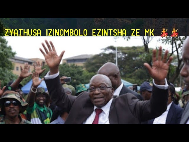 Ikhishwa izisu I ANC layikhona ziphumile izinombolo ezintsha zabajoyini MK ka Zuma uMkhonto Wesizwe class=