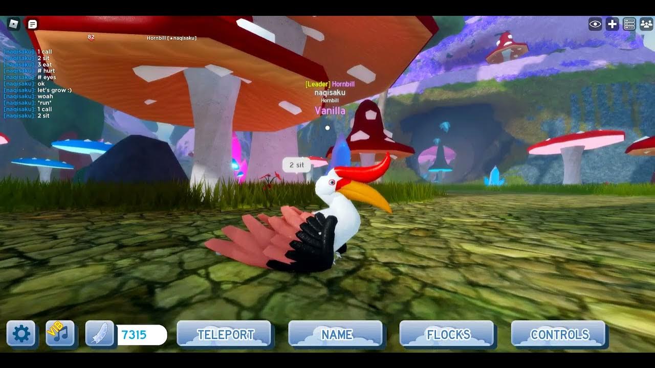 Roblox feather family [ NEW Hornbill ] - YouTube