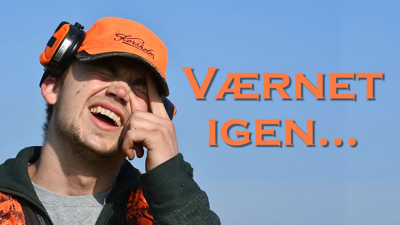 VÆRNET IGEN... (Andejagt og endeløs rørskov)