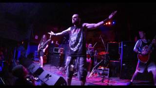 Ingested - Full Set
