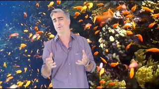 TN Autos Programa 69 | Especial Año Nuevo Parte 1