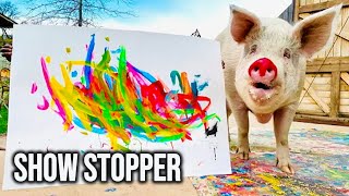 Painting Pig Steals The Show Selling Millions As Pigco