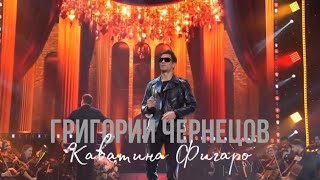 Григорий Чернецов - Каватина Фигаро