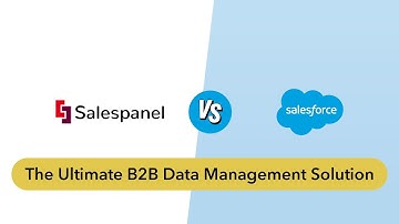 Salespanel.io vs Salesforce Data Cloud: The Ultimate B2B Data Management Solution