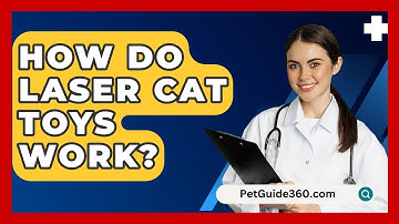 How Do Laser Cat Toys Work? - PetGuide360.com