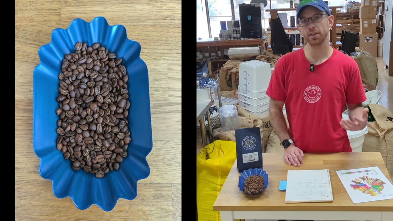 Fall Blend 2024 Edition (Medium Roast)