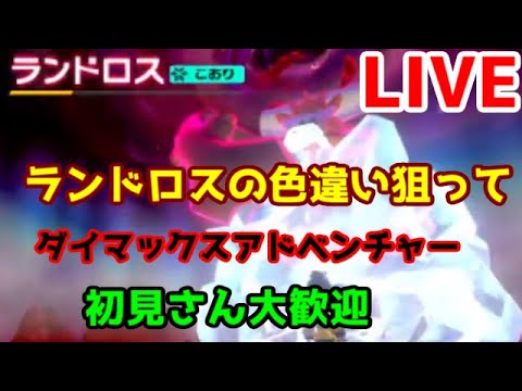 最も好ましい Oras ランドロス 厳選 ポケモンの壁紙