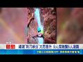 福建"刺刀峽谷"大雨意外 9人探險釀5人溺斃｜三立新聞LIVE