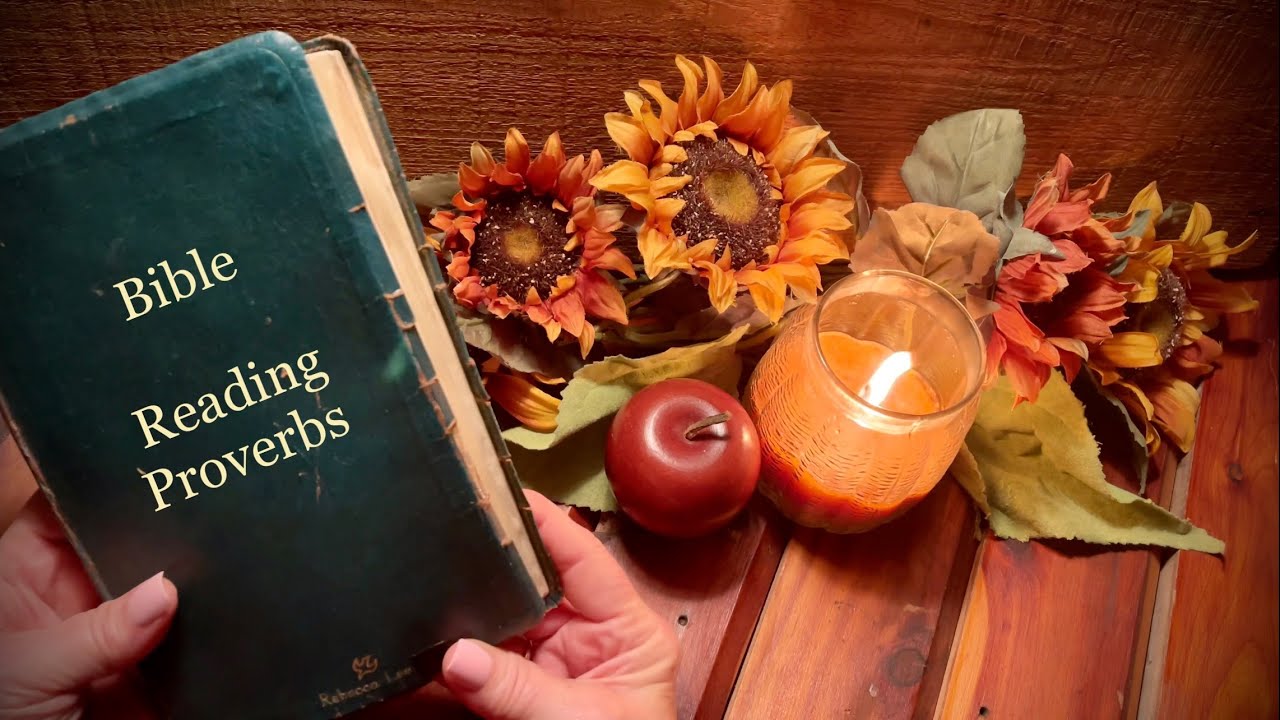 ASMR Bible Reading (Soft Spoken) Checking out selected verses in Proverbs.