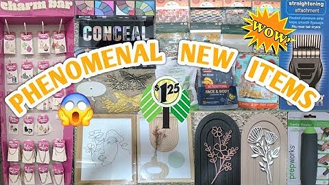 SHOP WITH ME AT DOLLAR TREE | PHENOMENAL NEW ITEMS 😱 100