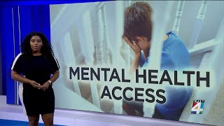 Georgia legislators pushing for more money for mental health programs