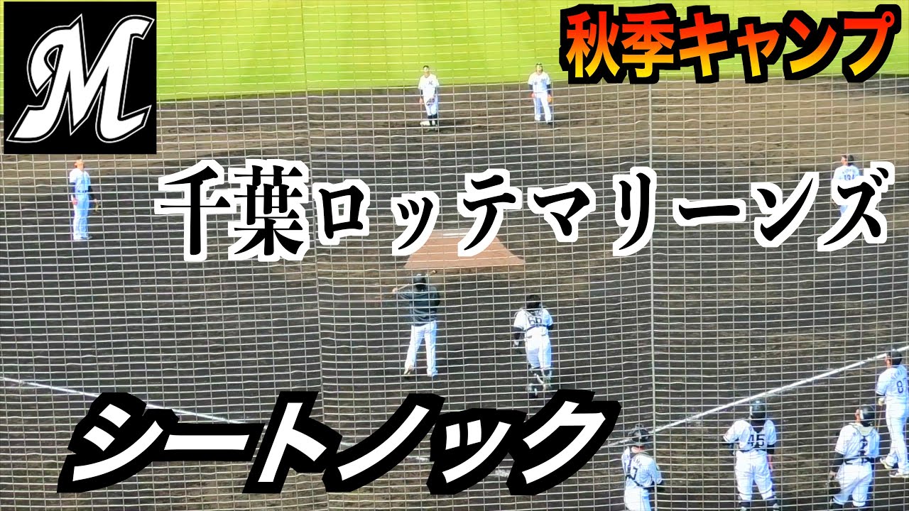 千葉ロッテマリーンズシートノック ！【２０２５秋季キャンプ】