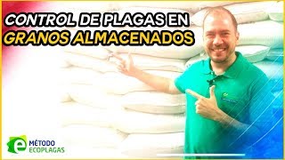 Control de Plagas en Granos Almacenados