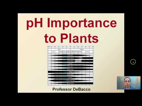 pH Importance to Plants