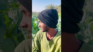 মরভমর দশ কযত-এ এমন সবজ চষ চখ কপল ওঠর মত দশয