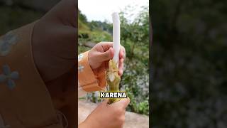 Seni Tradisional Mengolah Batang Menjadi Seni