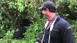 NG125: Tracking Gorillas in Rwanda
Last stop on National Geographics 125th Anniversary Expedition: tracking gorillas in Rwanda and Volcanoes National Park! It was a once-in-a-lifetime opportunity and it amazed me how quiet and playful the gorillas are in nature. NG125: Tracking Gorillas in Rwanda