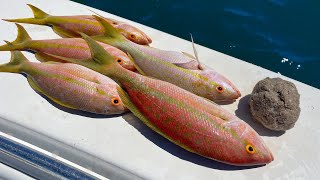 Sand-Balling Yellowtail Snapper | Key West to Marathon By Boat | CCC