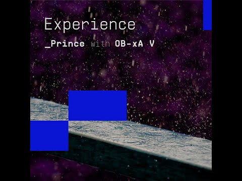 Experience Prince with OB-Xa V