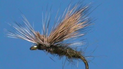 Fly Tying a Cutters Caddis with Jim Misiura