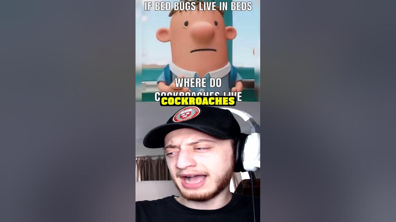 If Bed Bugs Live In Beds Where Do Cockroaches Live... shorts short 