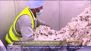 من مصر | صناعة الغزل والنسيج.. القطن المصري يعود إلى أمجاده
