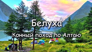 Белуха. Конный поход по Алтаю