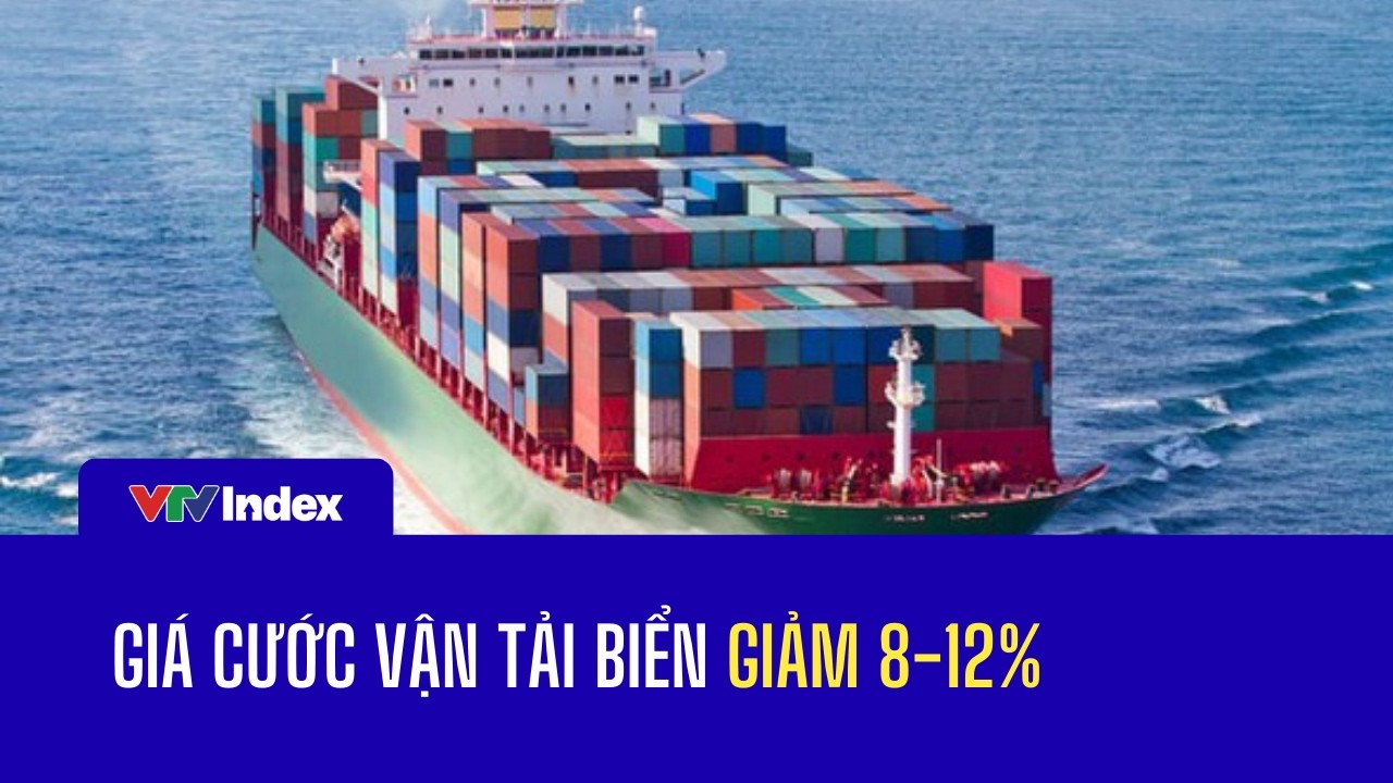 Giá cước vận tải biển giảm 8-12% | VTVIndex