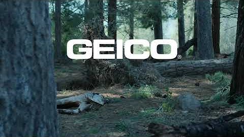 GEICO Did You Know - A tree does make a sound REUPLOAD