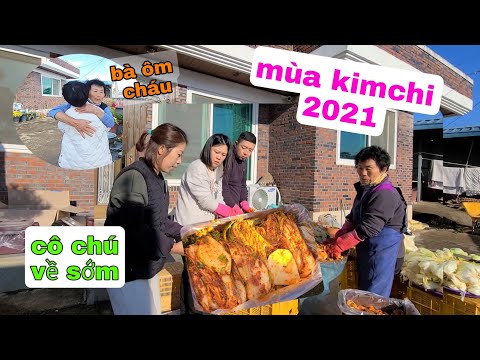 Video MÙA KIMCHI 2021 CÙNG CON CHÁU. CÔ CHÚ VỀ SỚM GIÚP MẸ,... - youtube