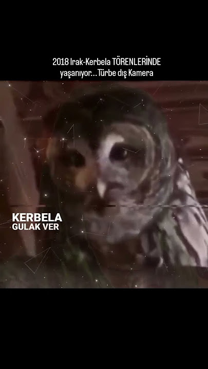 Viranede baykuşlar, hu çeker yıl yıl ağlar, Kerbela'ya kulak ver, sahra ağlar çöl ağlar..