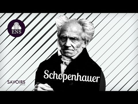 Scepticisme et pessimisme : le cas Schopenhauer