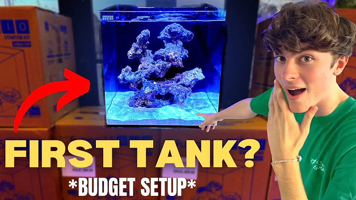 Beginner’s Guide to Setting Up YOUR FIRST SALTWATER AQUARIUM!! (On a Budget)