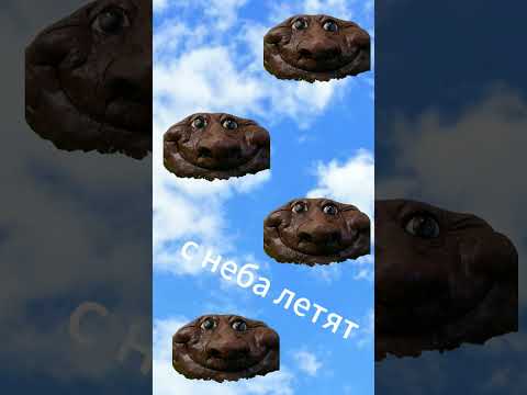 Фуу какашки с неба летят Фуу #какашки