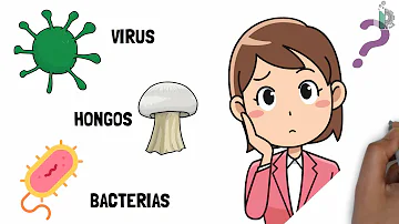 ¿Qué tipo de microbio puede causar una infección en cualquier sistema corporal?