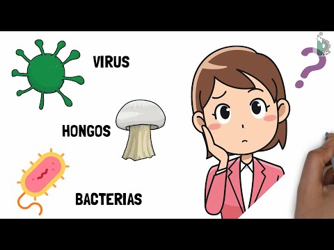 Video: ¿Por qué los mohos de agua se describen como hongos como protistas?