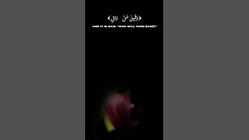 سورة القيامة - محمد اللحيدان
