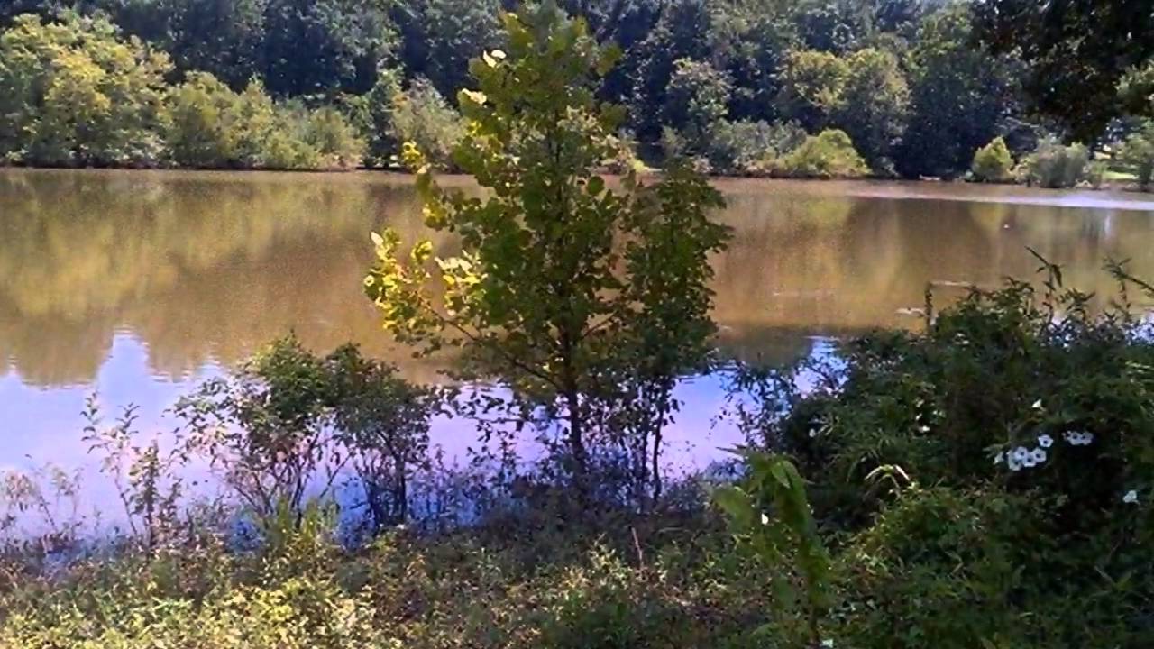 Real estate for sale in Bath Springs Tennessee MLS 168137 YouTube