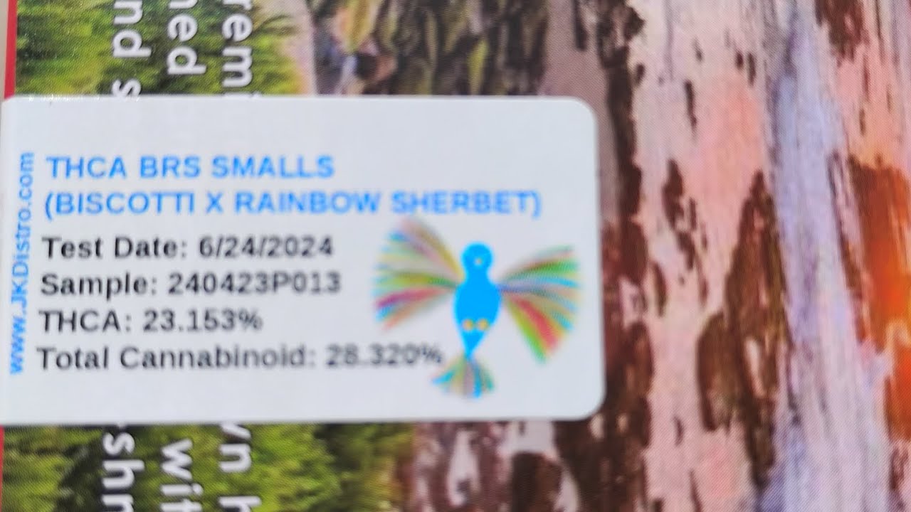 Thca brs smalls biscotti x rainbow sherbet