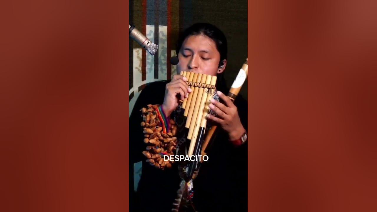 Luis Fonsi - Despacito ft. Daddy Yankee on flute