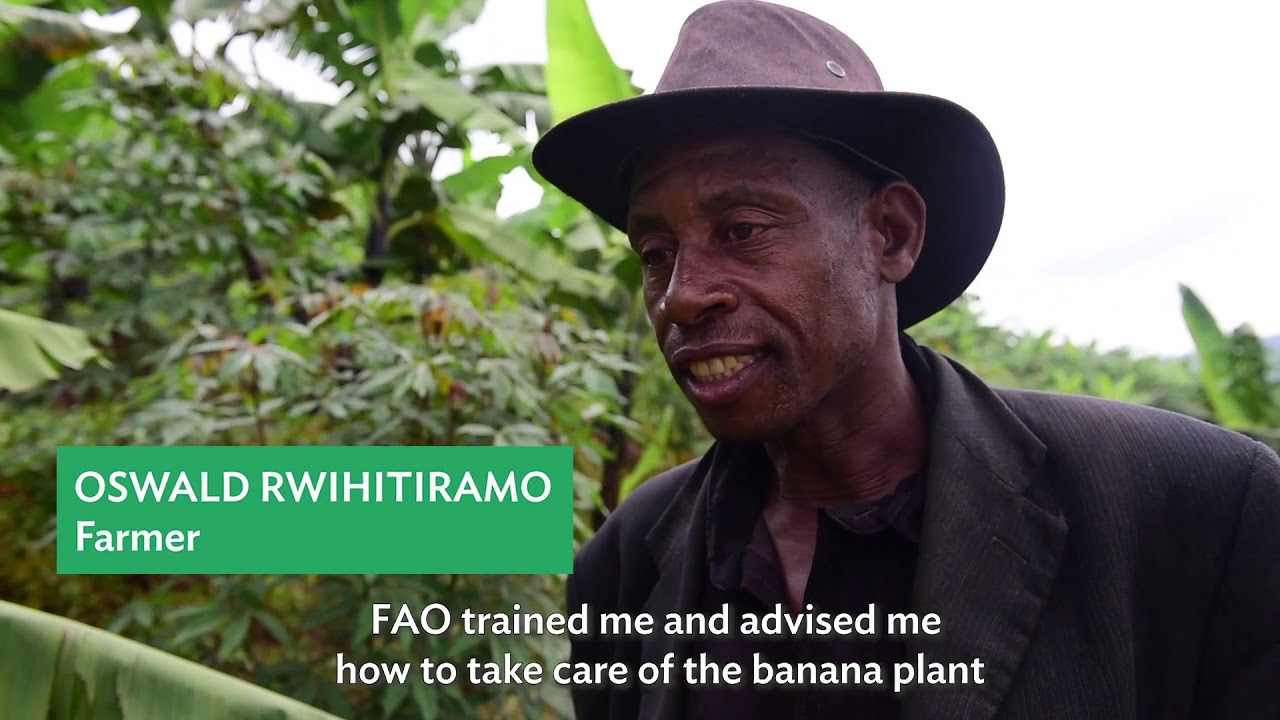 Forest and Landscape Restoration Mechanism