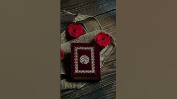 من روائع القارئ أمين موسى. ج٢٤