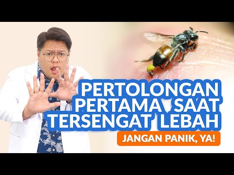 Video: Apakah lebah menggigit? Mari kita cari tahu
