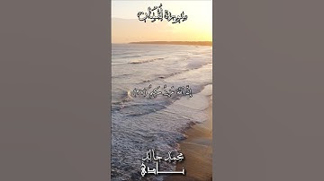 مَّا نَفِدَتۡ كَلِمَٰتُ ٱللَّهِ | القارئ محمد خالد نادي #islamicvideo #quran #islamicstatus