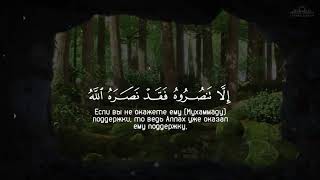 Абдуррахман Масад - Сура 9 «Ат-Тауба» (Покаяние), Аят 40-й