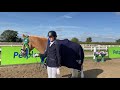 Petplan Equine Summer Area Festival Prelim Bronze Freestyle Champion - Astrid Holcke